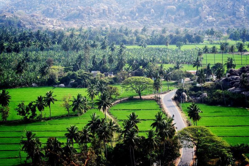 Lee Homestay Хампи Экстерьер фото